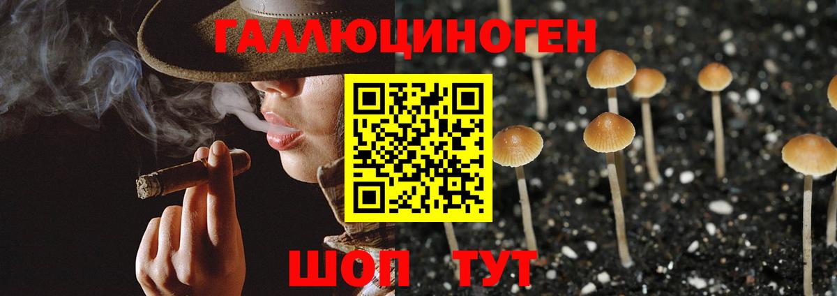 Псилоцибиновые грибы мухоморы  Вход с VPN  Ростов-на-Дону  Псилоцибиновые грибы Psilocybe 